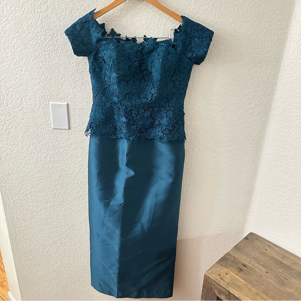 Ricki freeman for Teri Jon Lace Gazar Column Gown size 4
